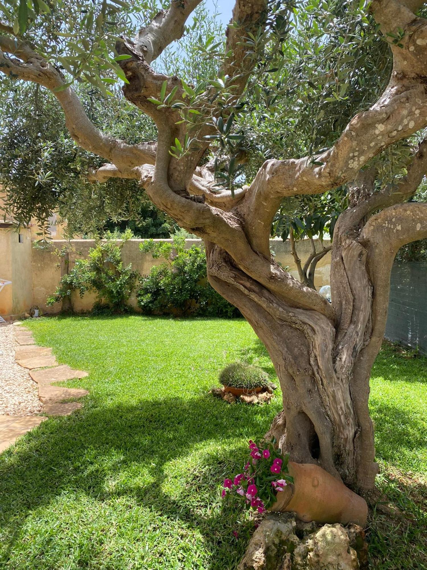 Villa Barbera Marsala Buitenkant foto